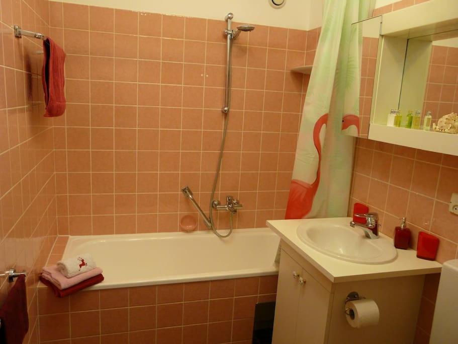 Kleine Feine Wohnung In Toplage بلدنز المظهر الخارجي الصورة