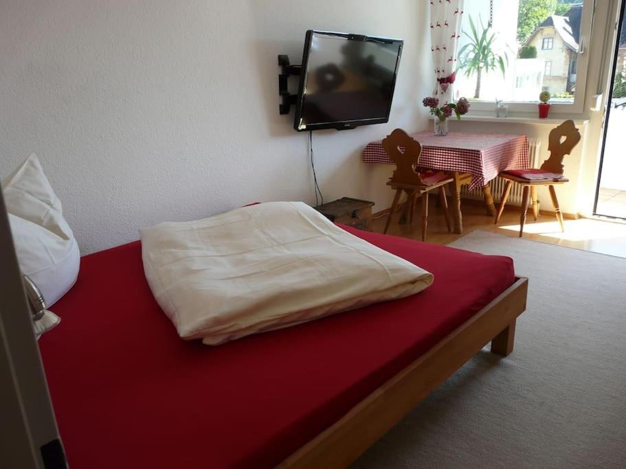 Kleine Feine Wohnung In Toplage بلدنز المظهر الخارجي الصورة